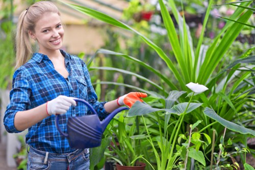 Patio installation planning for a Plaistow home garden