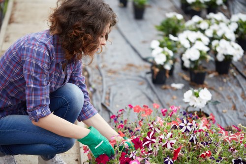 Professional landscaping equipment and materials ready on site