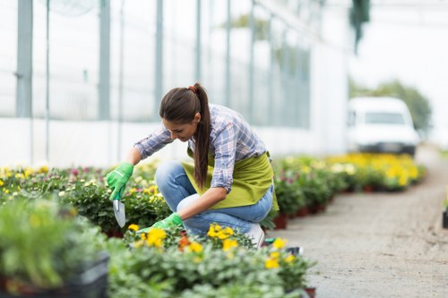 Plaistow garden soft landscaping for homes and businesses