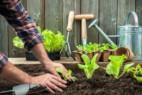 Screen-reader friendly landscaping page structure
