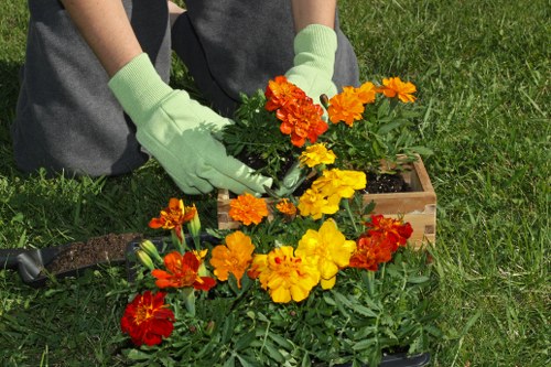 Image showing a site inspection for landscaping concerns