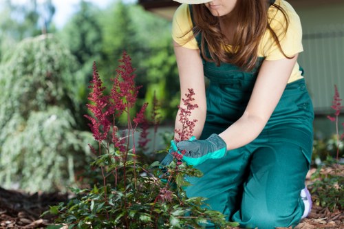 Accessible landscaping information with clear headings