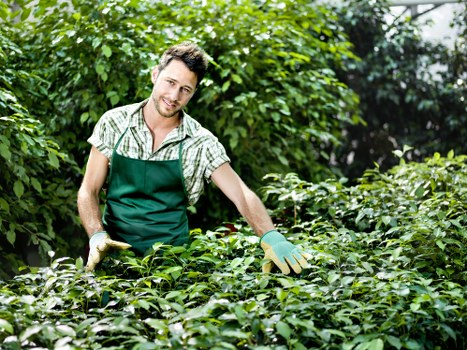 Equipment and work area safety in outdoor landscaping