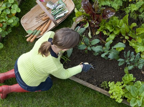 Cubic-yard quote estimate for landscaping and waste removal in Plaistow