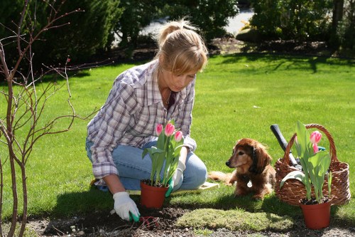 Site audit and worker welfare review in landscaping supply chain