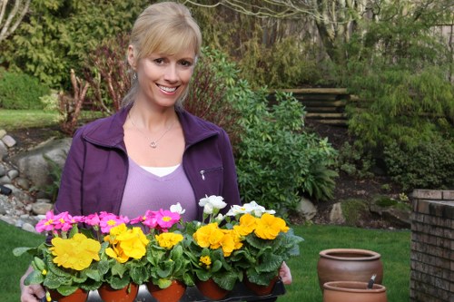 Seasonal garden landscaping in Plaistow with balanced planting and paths